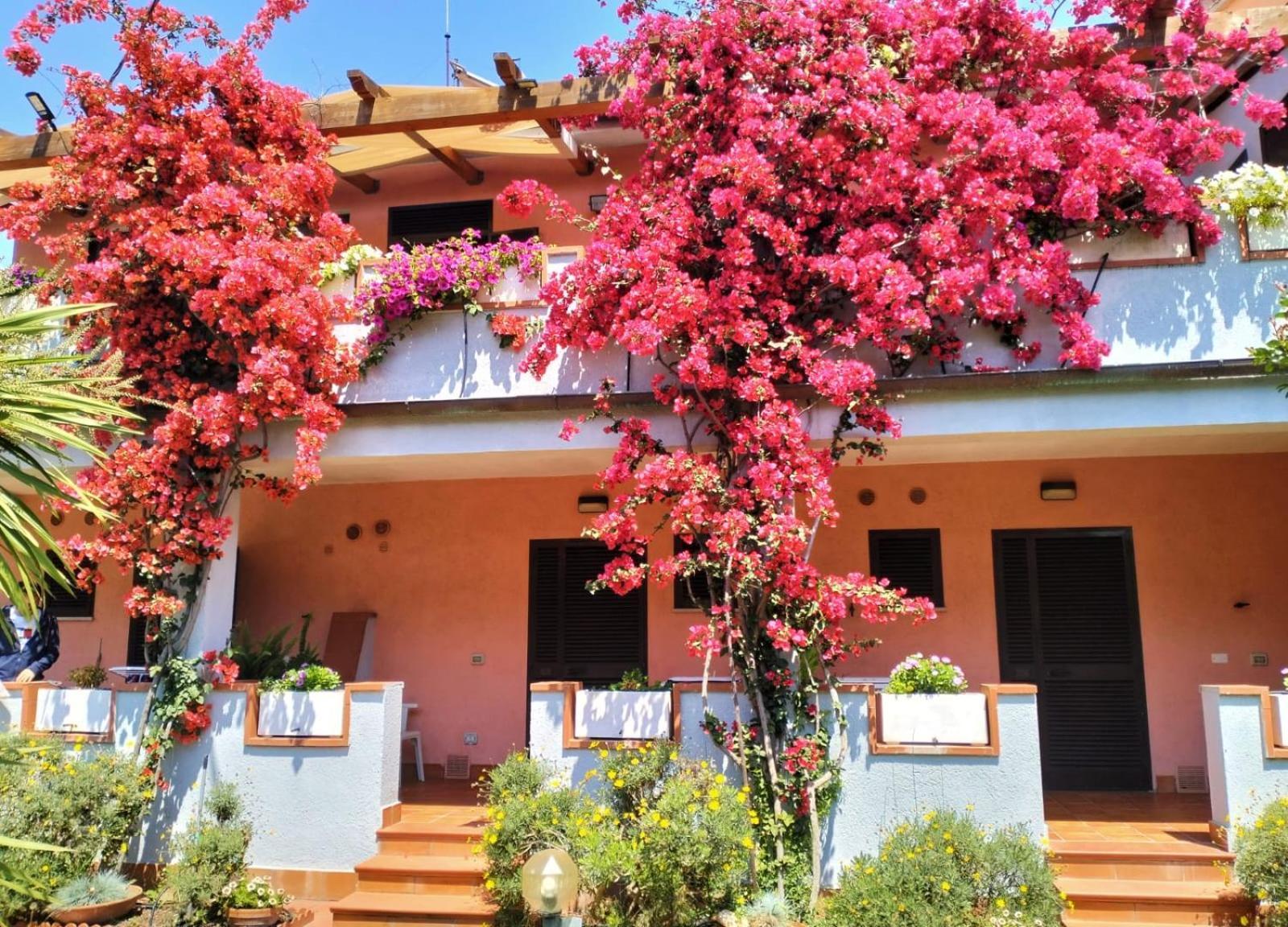 Hotel Elba Marina di Campo Esterno foto